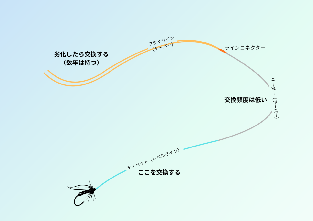 ｜フライフィッシングのリーダーとティペットって何？　【フライフィッシングの教科書/07】