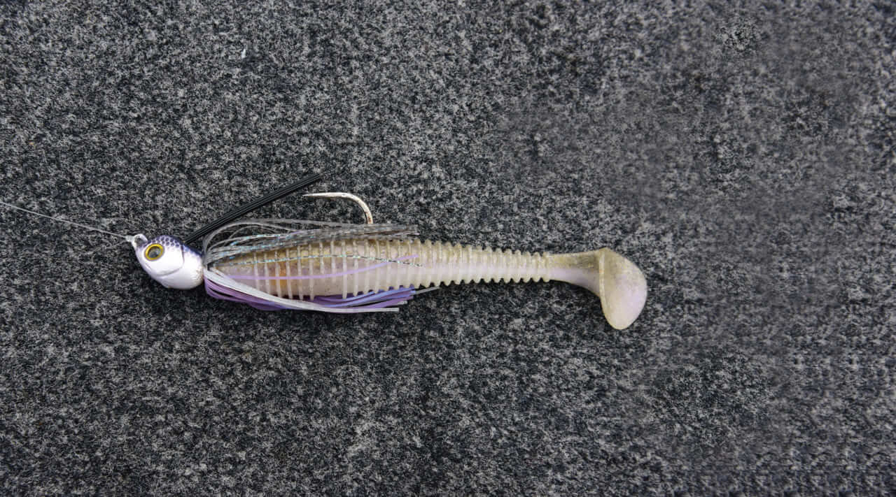 ｜早春の琵琶湖をストロングに攻略するためのQ&A「釣れない人の特徴は…」