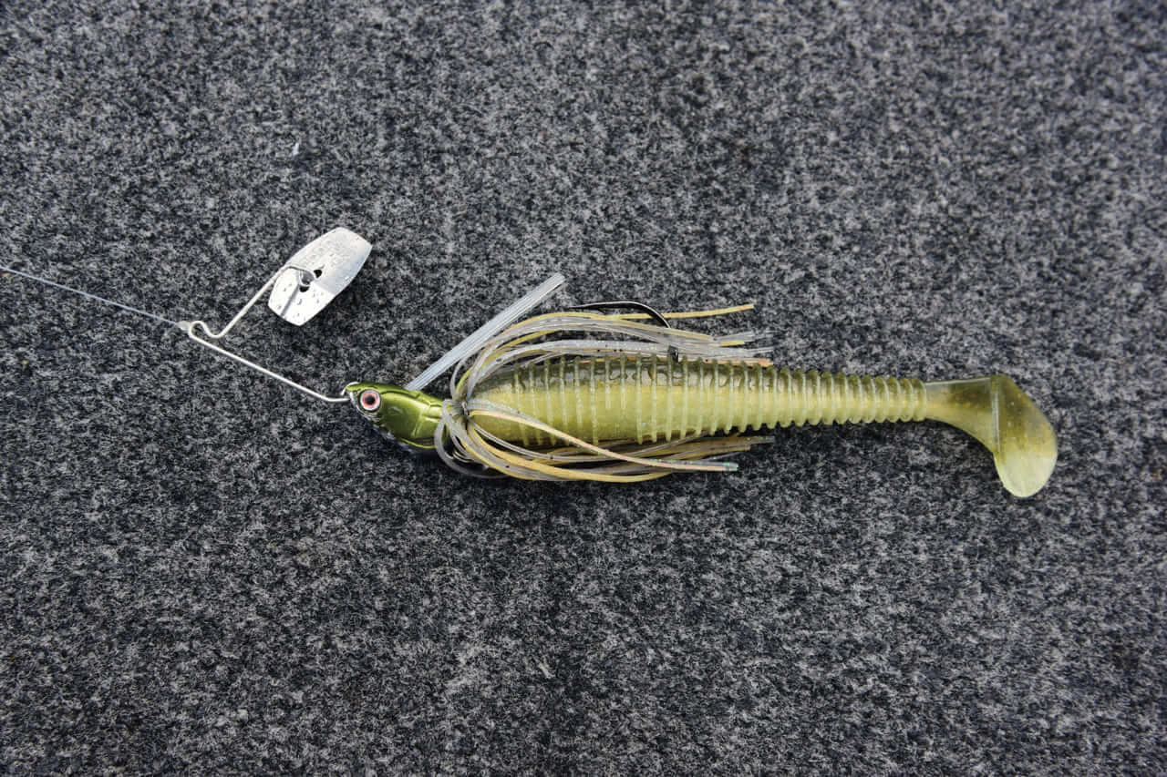 |早春の琵琶湖をストロングに攻略するためのQ&A「釣れない人の特徴は…」