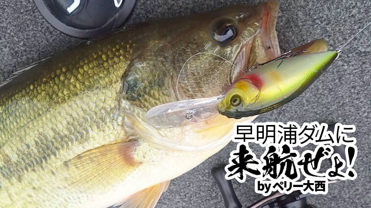 琵琶湖だけじゃない！実は早明浦ダムでも効果的なメガバスの超名作クランクベイト！