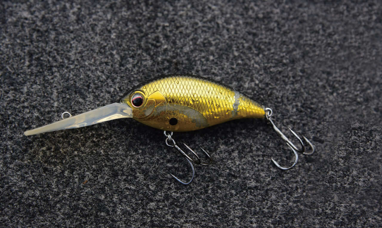 ｜早春の琵琶湖をストロングに攻略するためのQ&A「釣れない人の特徴は…」