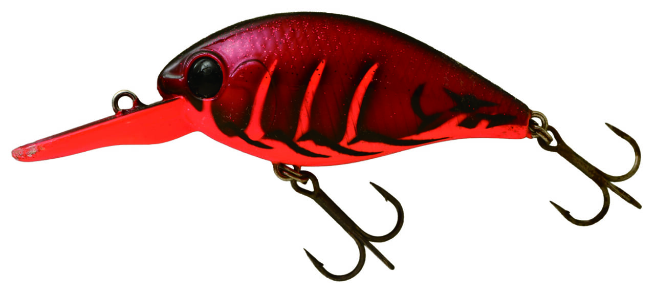 |早春の琵琶湖をストロングに攻略するためのQ&A「釣れない人の特徴は…」