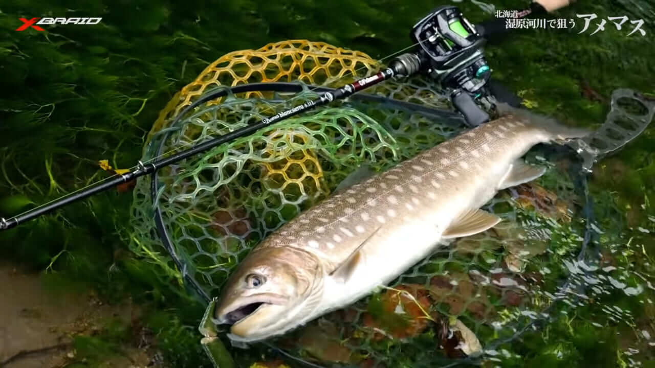 ｜「PEライン×ベイトリール」システムの最新系！ネイティブトラウト相手で成立させるためのセッティングとは…？