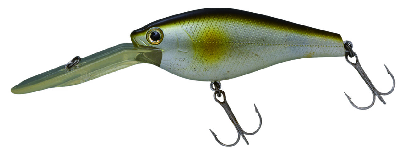 ｜早春の琵琶湖をストロングに攻略するためのQ&A「釣れない人の特徴は…」