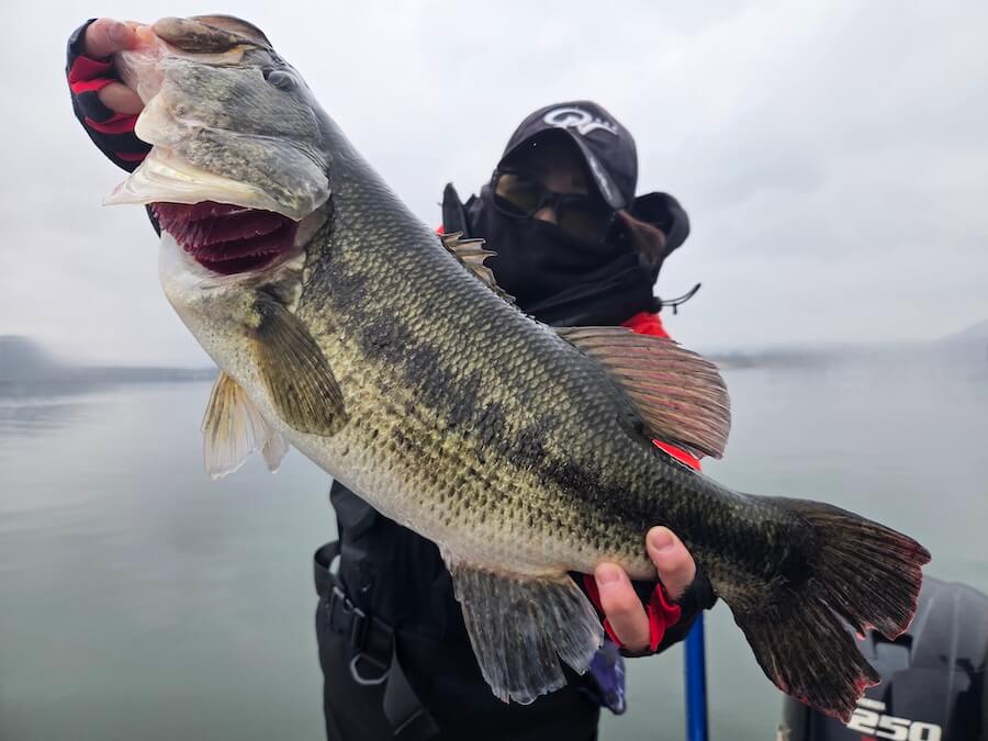 ｜日替わり状況の河口湖。重要なのはエリアとレンジ。今は表層の弱めルアーがおすすめ！