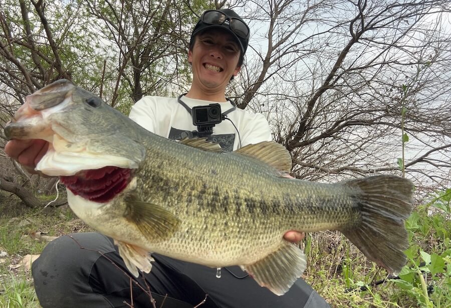 |50アップ連発、そして2年連続オカッパリでロクマル。足で稼いだ価値ある1本!「重さは自己記録更新です」【週刊ササカツ無双】