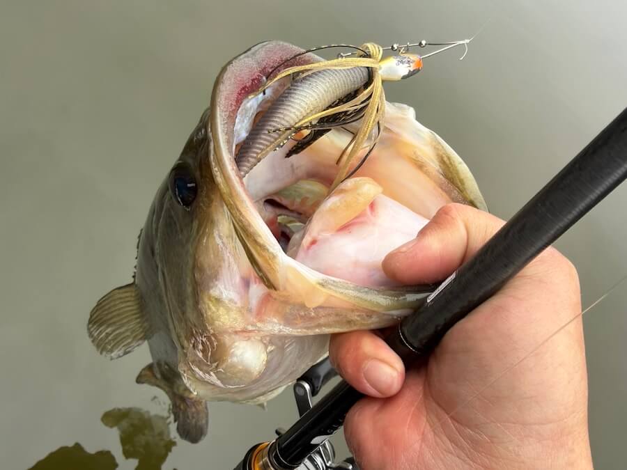 ｜朝一まさかのボート盗難…。困難を乗り越えて笑顔で釣り！そして出会えた50アップ3連発！やっぱり釣りはやめられない！