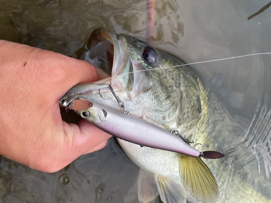 ｜「このバイト、病みつきになる…」春おすすめの浅場攻略パターン。ガストネード110Sをただ巻くだけの簡単釣法！