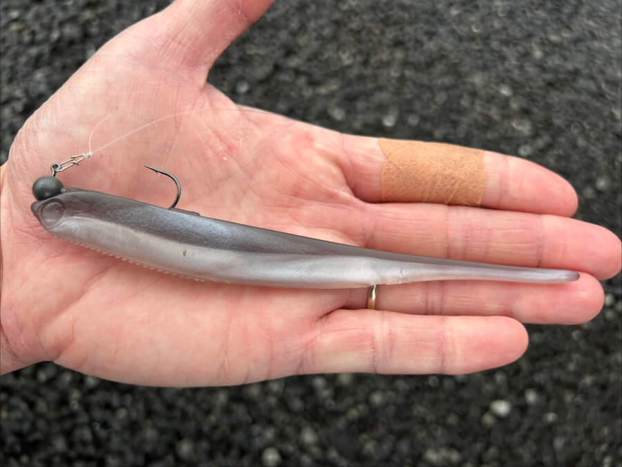 ｜カスミの腹パン50アップ「春らしい超ハイクオリティ！」プロトルアーはすでにカスミビッグバス量産中【週刊ササカツ無双】