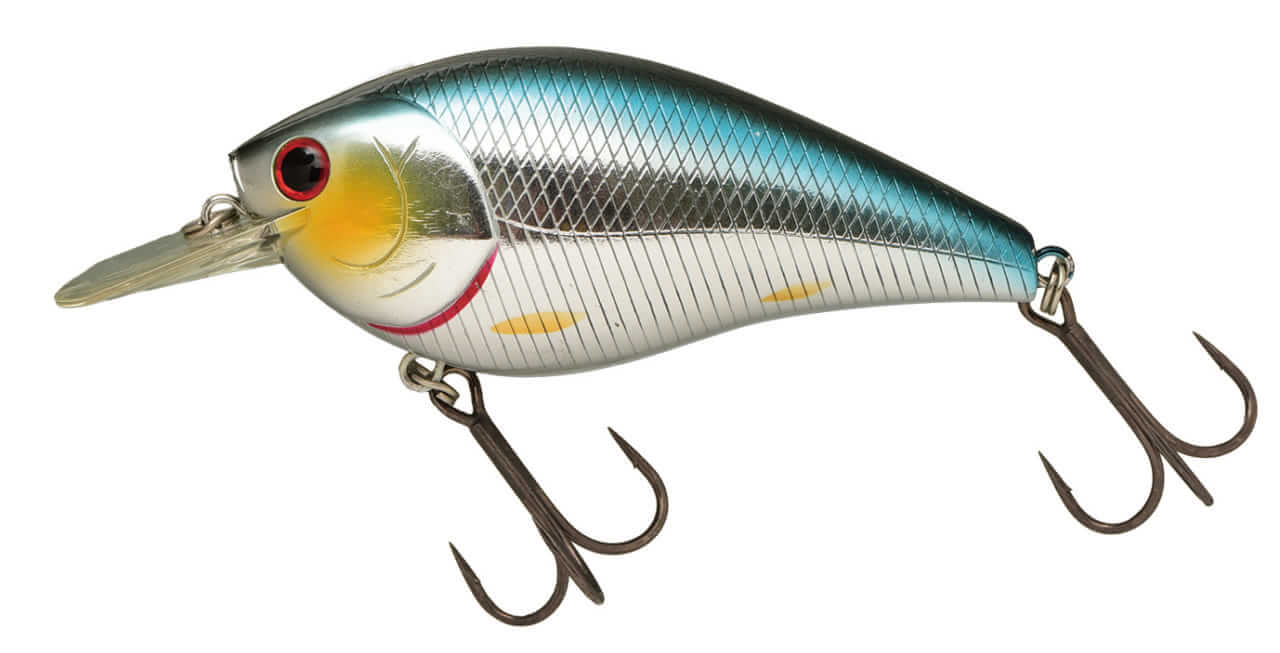 ｜早春の琵琶湖をストロングに攻略するためのQ&A「釣れない人の特徴は…」