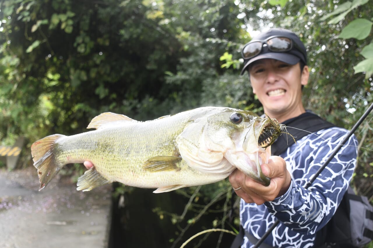 ｜【明日は決勝戦をライブ配信！】雨パワーはどちらに味方するのか⁉激戦がついに決着!!【佐々木勝也VS植盛幹太DAY2！釣果推移で追う陸王WEBスペシャル】