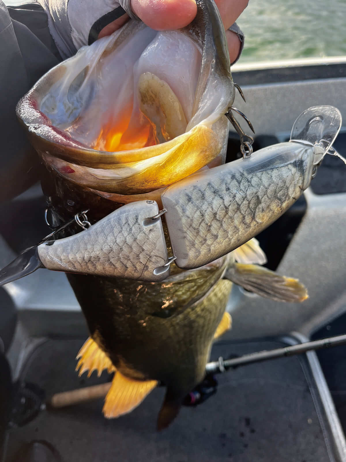 |早春の琵琶湖をストロングに攻略するためのQ&A「釣れない人の特徴は…」