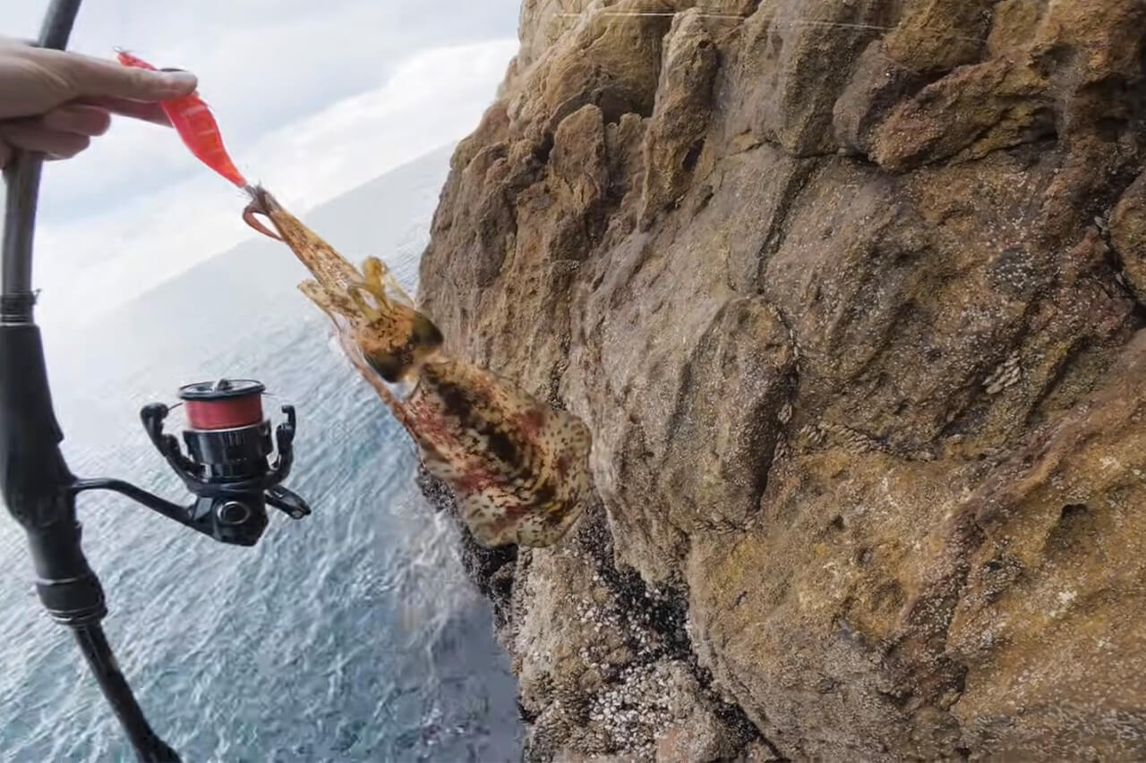 ｜「コレ、デカいぞ…」港近くの『無人島』に泊まり込んで“モンスター”を狙った結果。贅沢過ぎる状況に視聴者も驚愕。