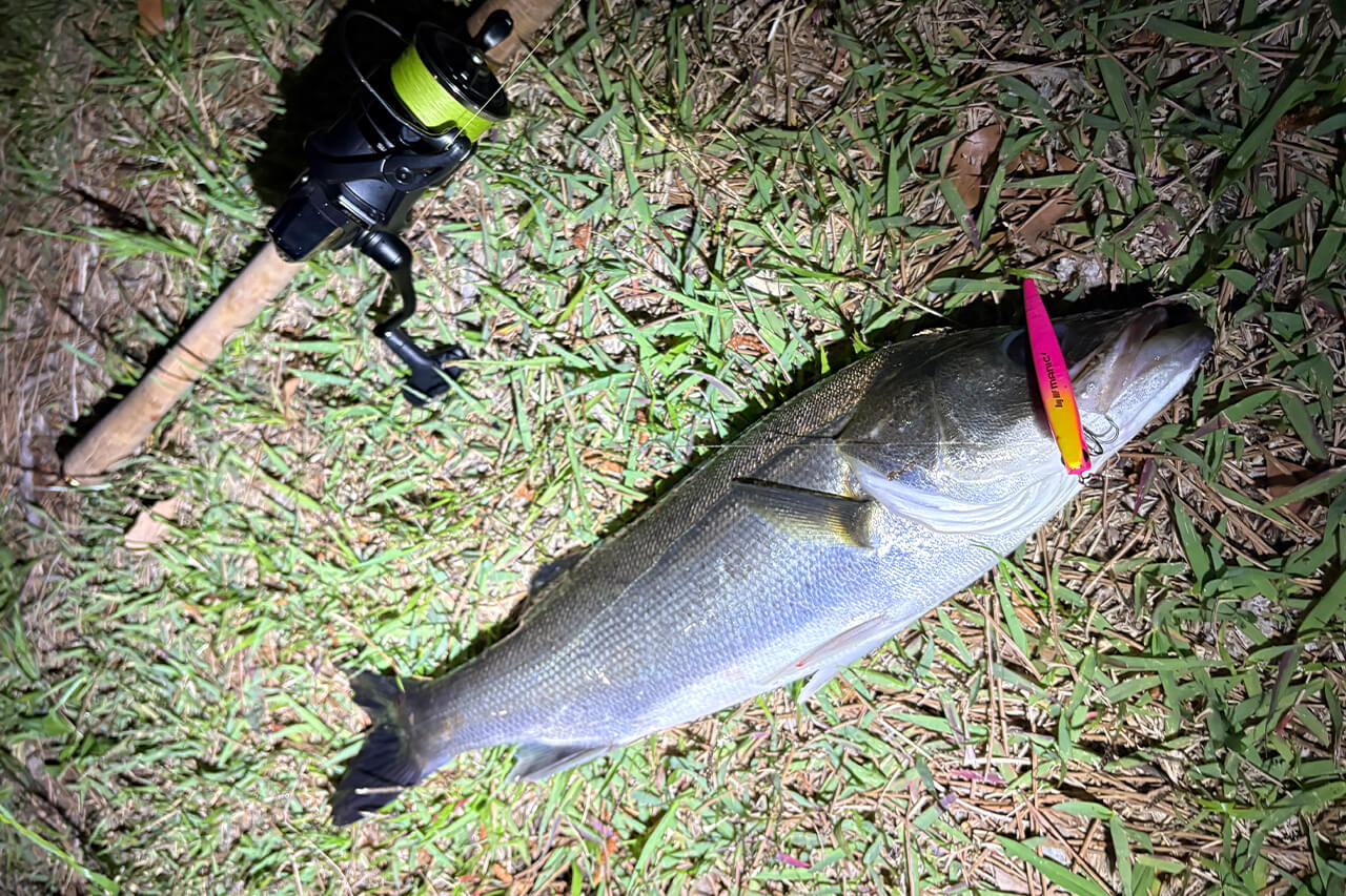 ｜「あまり話したくないですが…」これから始まる港湾・運河のバチ抜け。裏ワザ的タイミングを大公開。