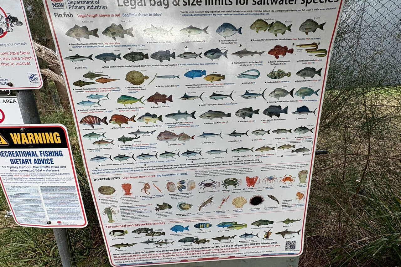 ｜オーストラリアは魚も規格外!? 日本では考えられない“1メーター超えマゴチ”を狙ってみた結果。