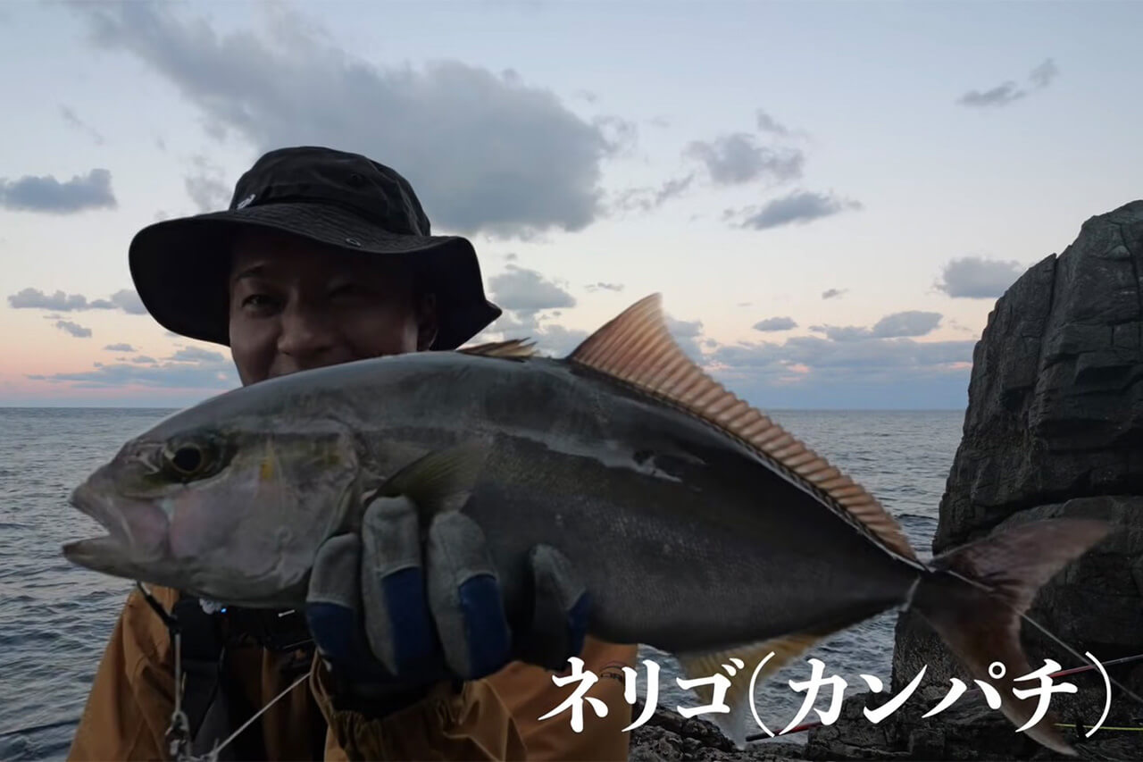 ｜日本最高峰の離島で揚がった『人よりデカい魚』。まさかの“体型”に撮影者の笑いが止まらない。30万回再生された釣り動画。