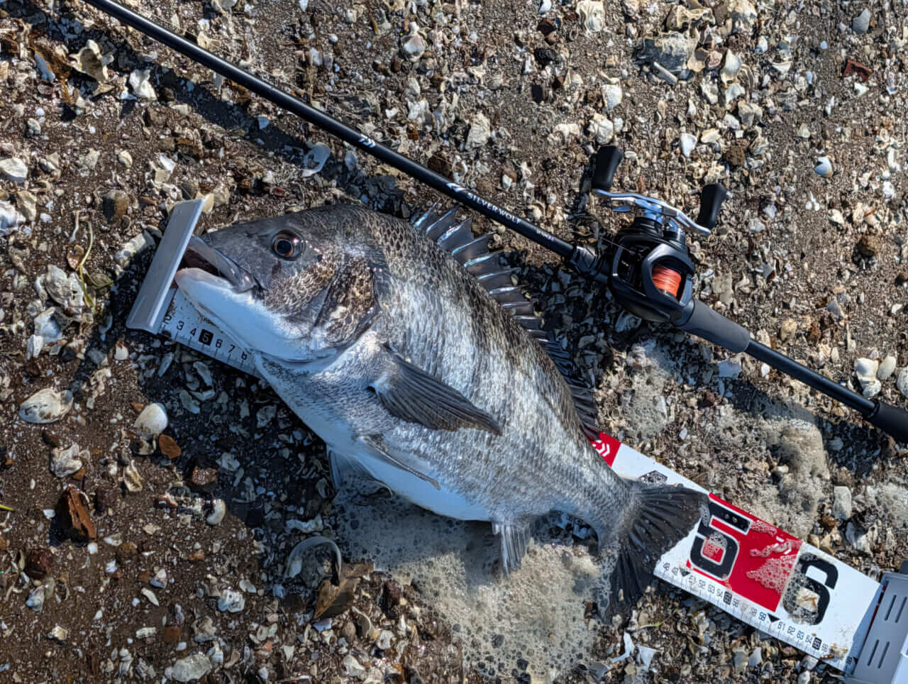 ｜無人島から南国リーフまで、拡張する“もりぞー”チニングワールド。日々の釣りで感じる「もう少し○○だったら」を解消するDAIWAの高い技術力