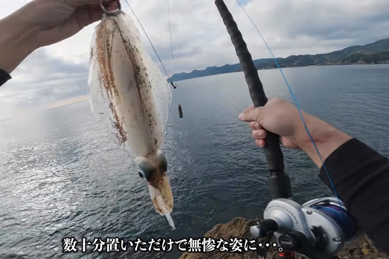 ｜「コレ、デカいぞ…」港近くの『無人島』に泊まり込んで“モンスター”を狙った結果。贅沢過ぎる状況に視聴者も驚愕。