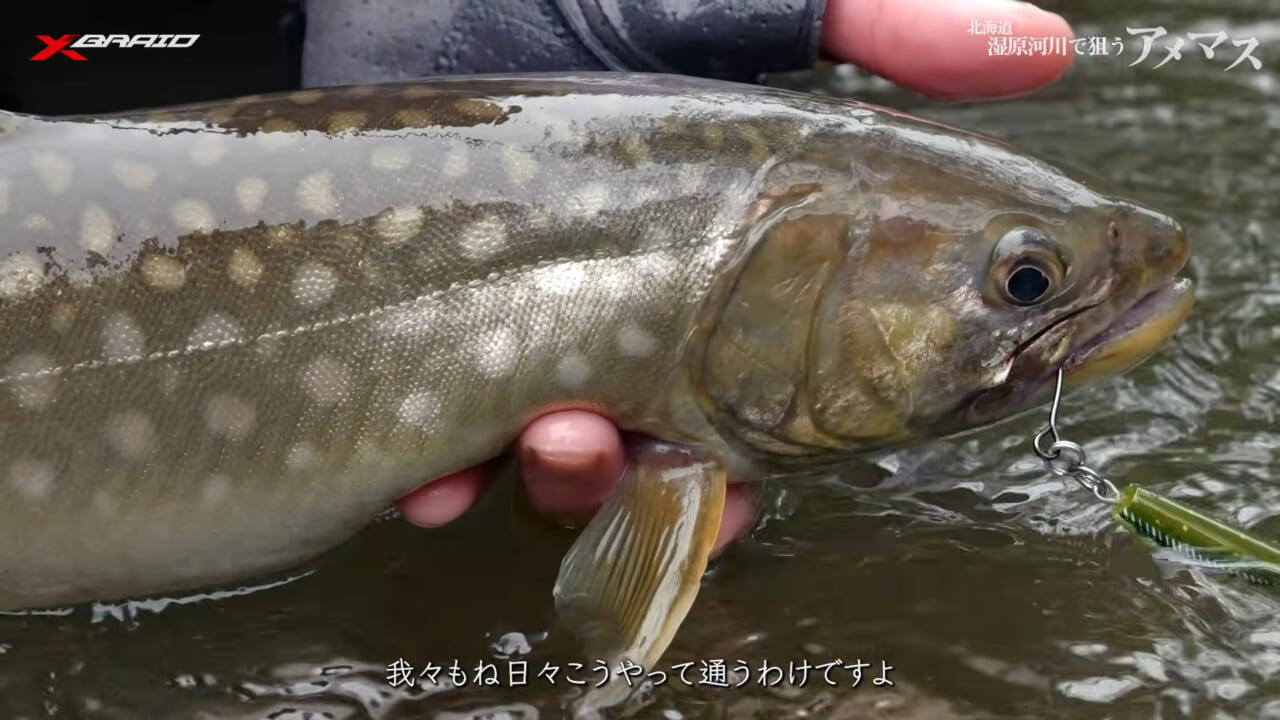 ｜「PEライン×ベイトリール」システムの最新系！ネイティブトラウト相手で成立させるためのセッティングとは…？