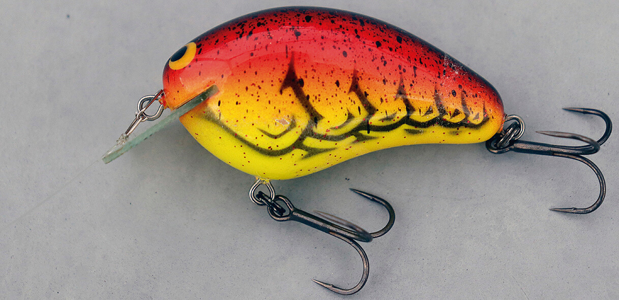 ｜冬から始まるデカバスへの道！寒の戻り対策にも⁉