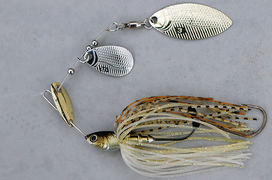 ｜冬から始まるデカバスへの道！寒の戻り対策にも⁉