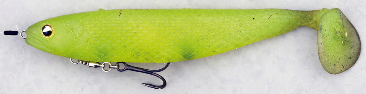 ｜冬から始まるデカバスへの道！寒の戻り対策にも⁉