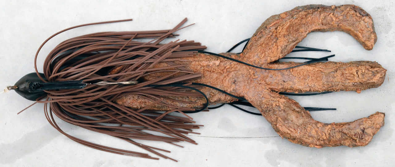 ｜冬から始まるデカバスへの道！寒の戻り対策にも⁉