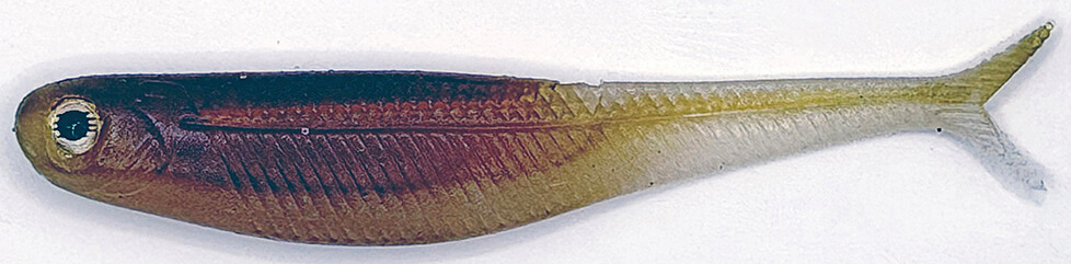 ｜冬から始まるデカバスへの道！寒の戻り対策にも⁉