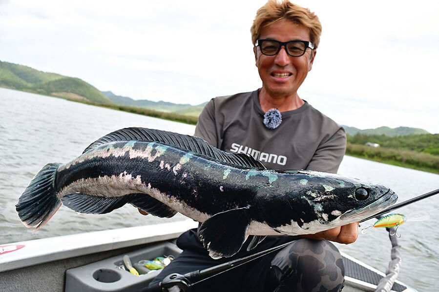 ｜シマノの「規格外」オーパースペックロッド『キャプチャー』追加モデルはさらに強い⁉