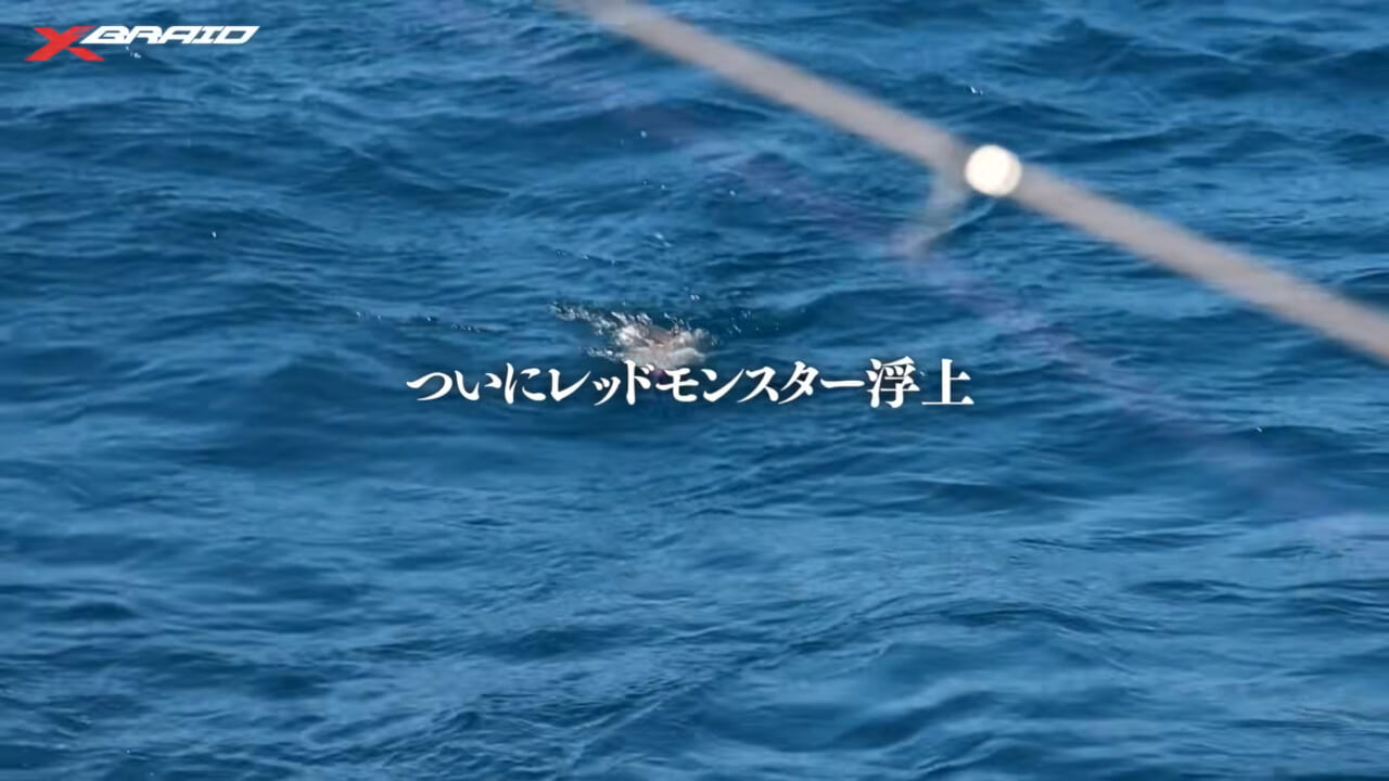 ｜エギングファンの憧れ「レッドモンスター」に挑め！ロマンを追った動画に注目!!