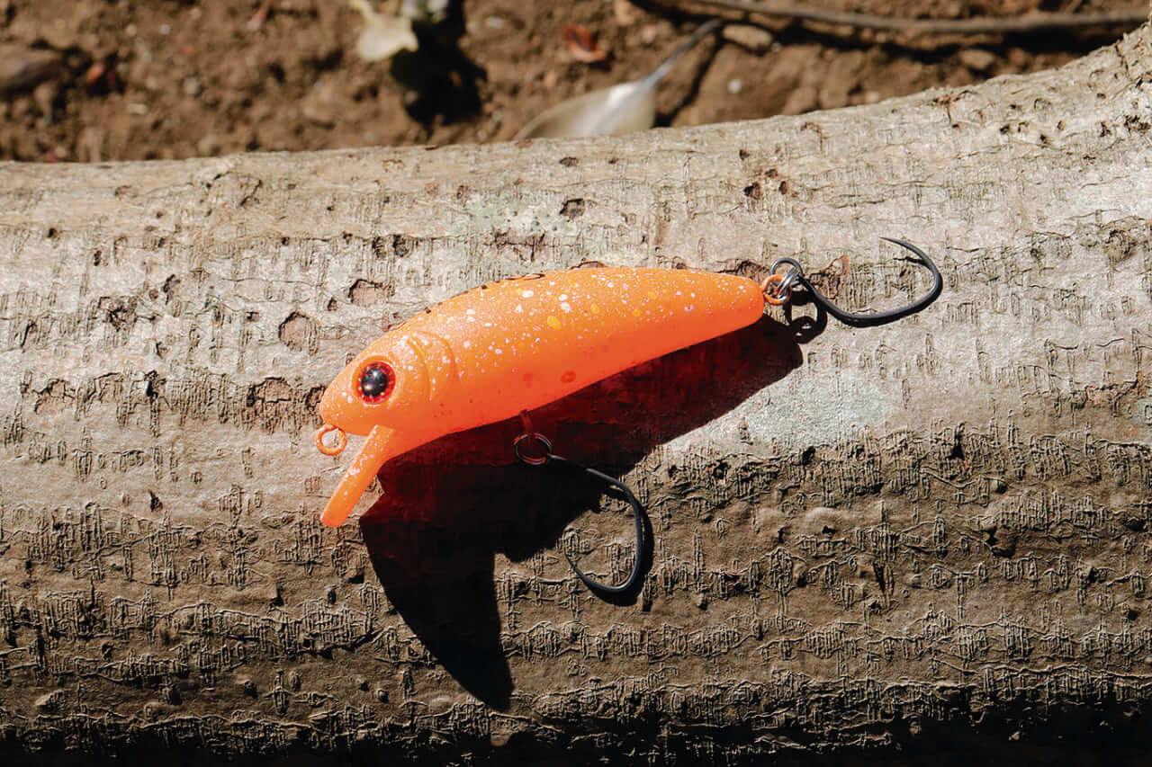 ｜欲張り2魚種釣り出来るルアーがあれば冬もルアーフィッシングを満喫できる！！