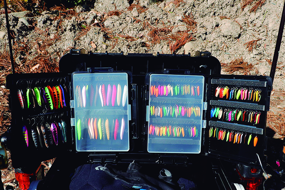 ｜欲張り2魚種釣り出来るルアーがあれば冬もルアーフィッシングを満喫できる！！