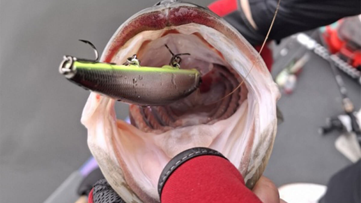 ｜「ハードルアーでいい釣りできますよ」春の温かい雨、バスを釣るには大チャンス到来中！【オリキンもばいる】