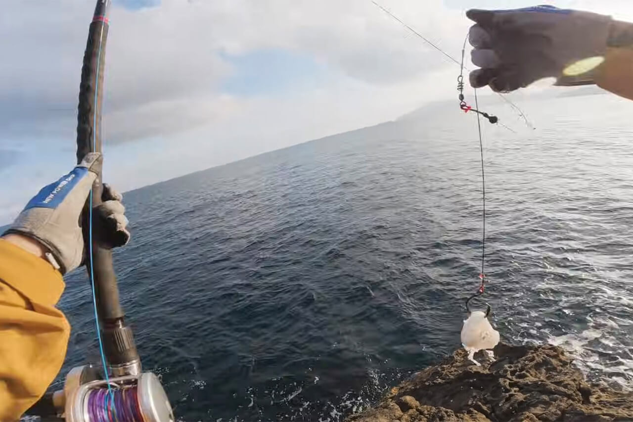 ｜「コレ、デカいぞ…」港近くの『無人島』に泊まり込んで“モンスター”を狙った結果。贅沢過ぎる状況に視聴者も驚愕。