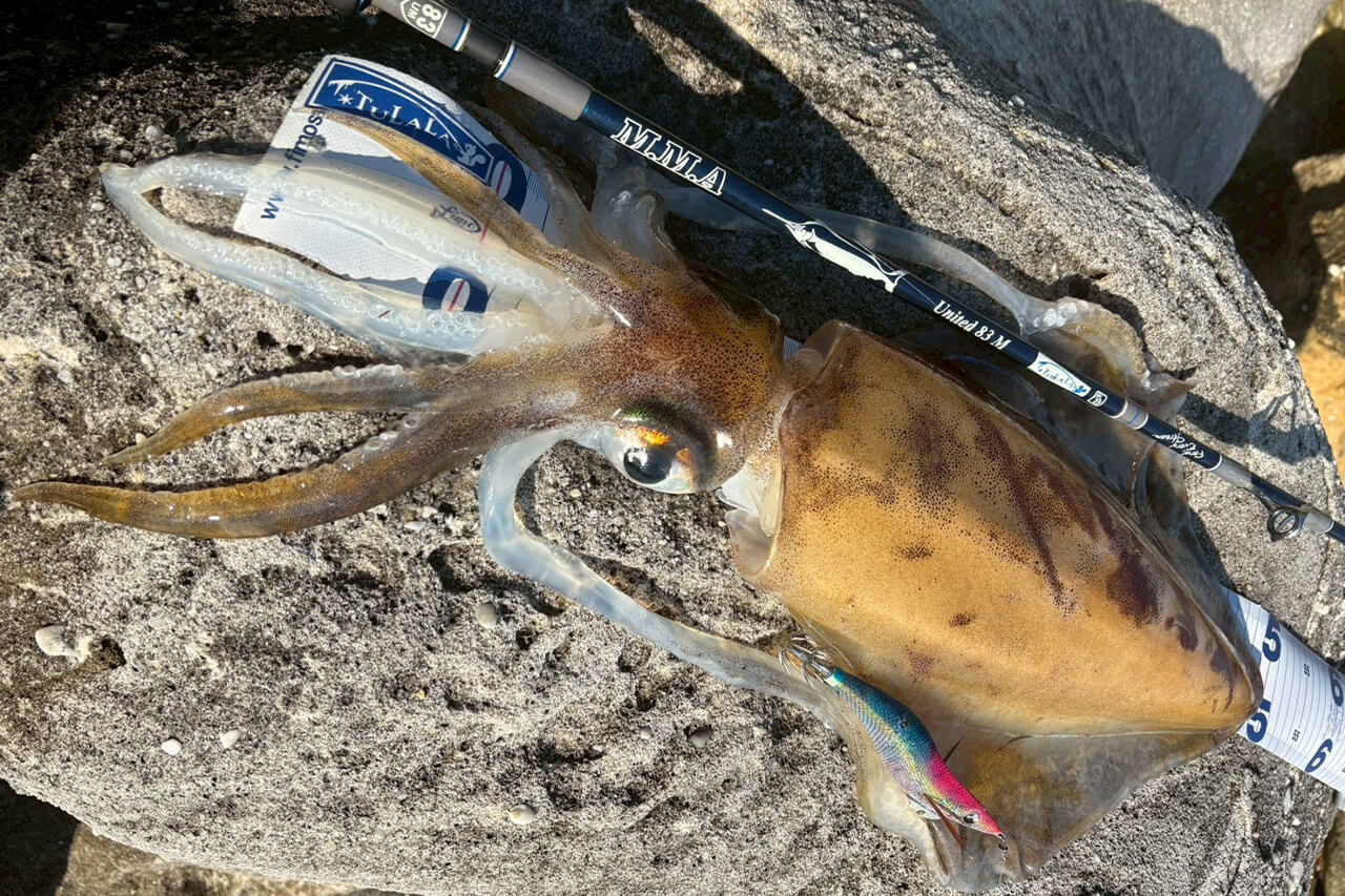 ｜オーストラリアは魚も規格外!? 日本では考えられない“1メーター超えマゴチ”を狙ってみた結果。