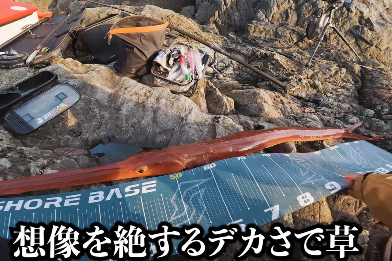 ｜日本最高峰の離島で揚がった『人よりデカい魚』。まさかの“体型”に撮影者の笑いが止まらない。30万回再生された釣り動画。