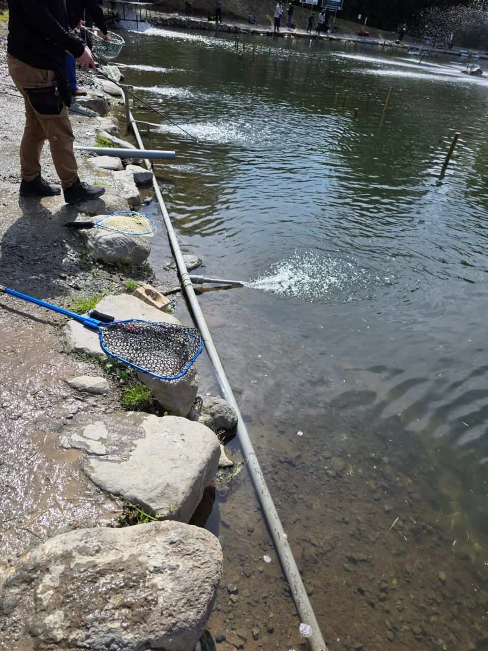 ｜フロリダバスのハイブリットも放流⁉釣り人歓喜の大放流で今年も大人気管理釣り場がバスシーズンスタート!