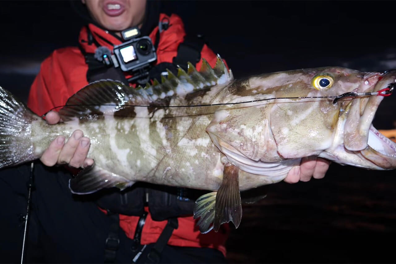 ｜「コレ、デカいぞ…」港近くの『無人島』に泊まり込んで“モンスター”を狙った結果。贅沢過ぎる状況に視聴者も驚愕。