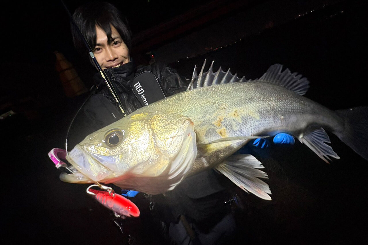 ｜【ハクパターン】難攻不落っていうけど大げさすぎるんじゃない？まだ苦手意識持ってる人いるならシンプルに考えてみよう