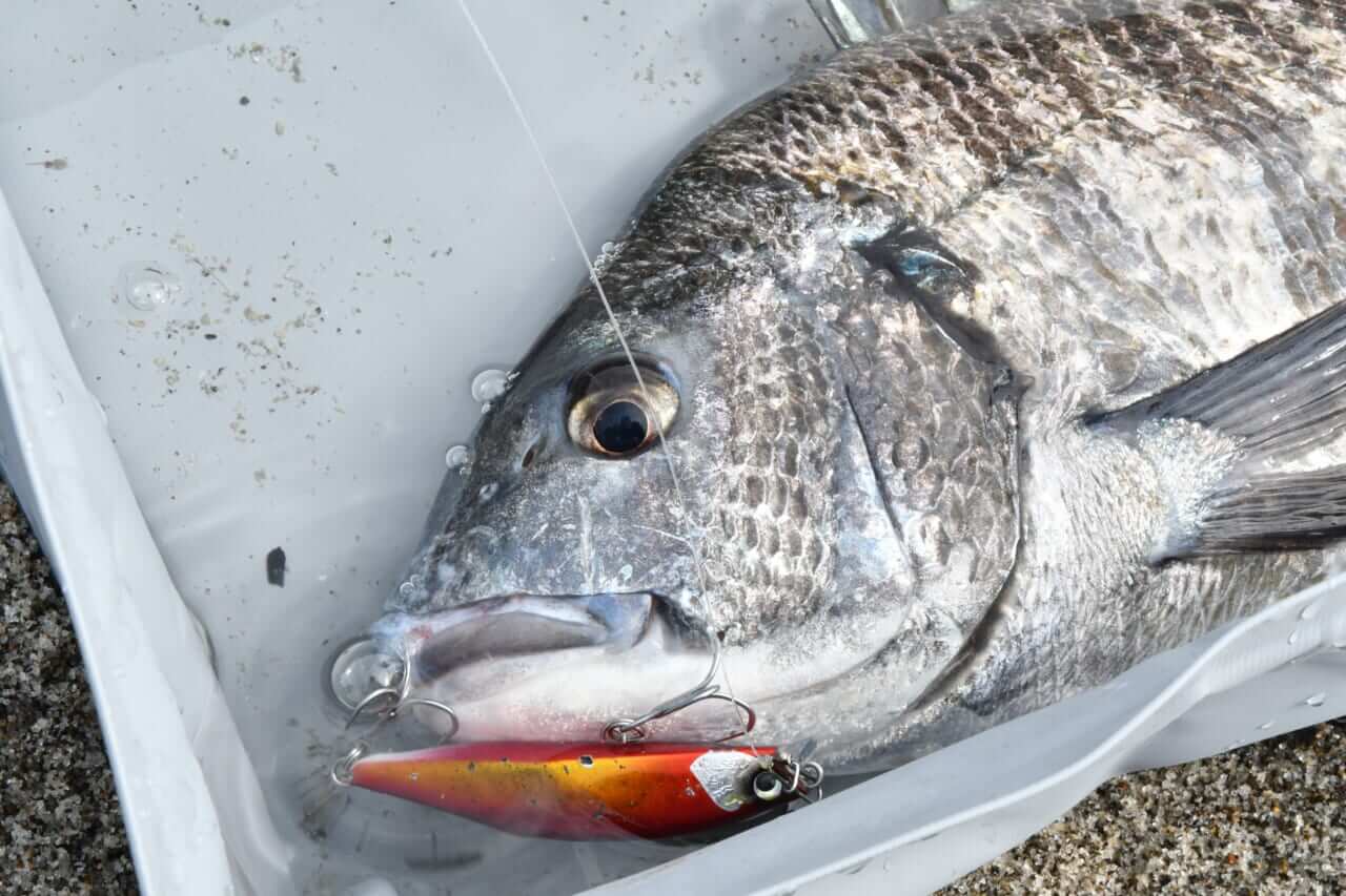 ｜堀田光哉が最強地元ロコと対決！「僕も通いまくってるんで負けませんよ」【ネッサチャレンジ in 鹿児島県】