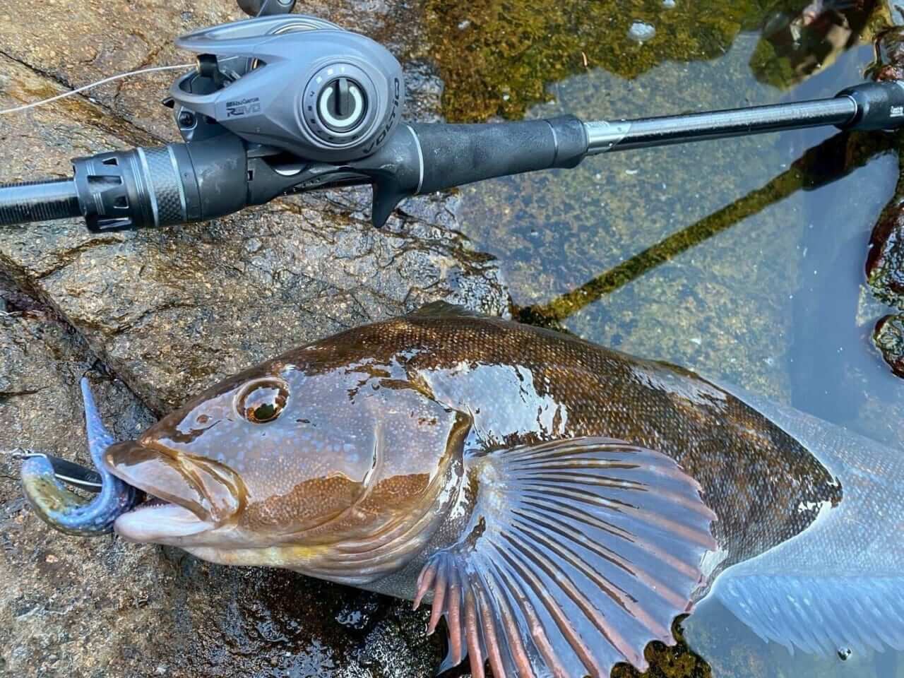 |秘密は「穴」にあり⁉大胆構造で激釣れを実現した最強素材ワームとは⁉