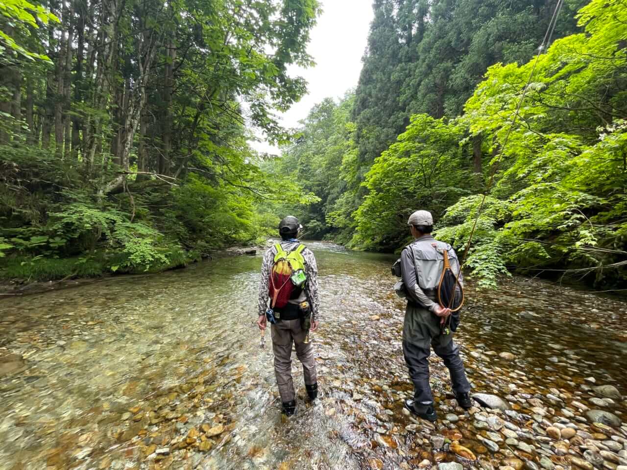 ｜フライフィッシングのリーダーとティペットって何？　【フライフィッシングの教科書/07】