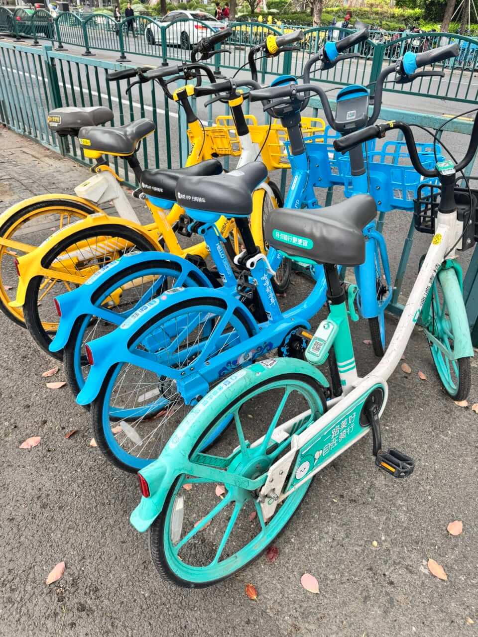 ｜中国バスフィッシング事情調査! 上海フィッシングショーに潜入取材!!【潜入上海钓鱼表演，采访】