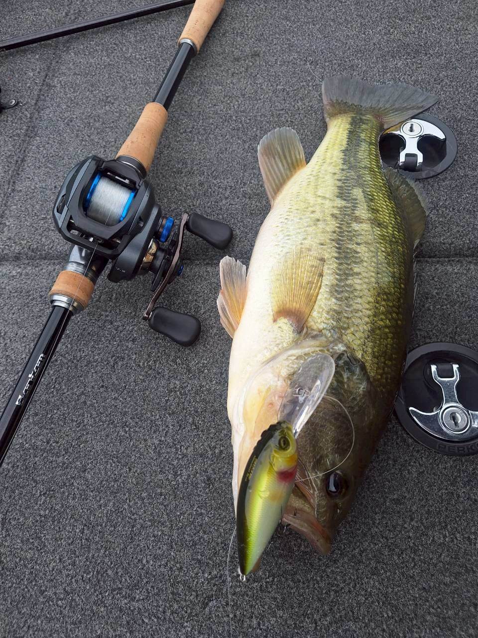 ｜琵琶湖だけじゃない！実は早明浦ダムでも効果的なメガバスの超名作クランクベイト！