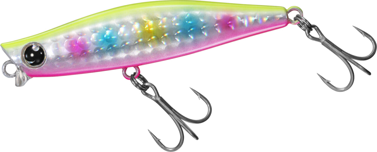 ｜【ベイトの追い方/探し方】季節の変わり目の今、シーバスにたどり着くまでのプロセスとは？【デイゲームに行く意味？】