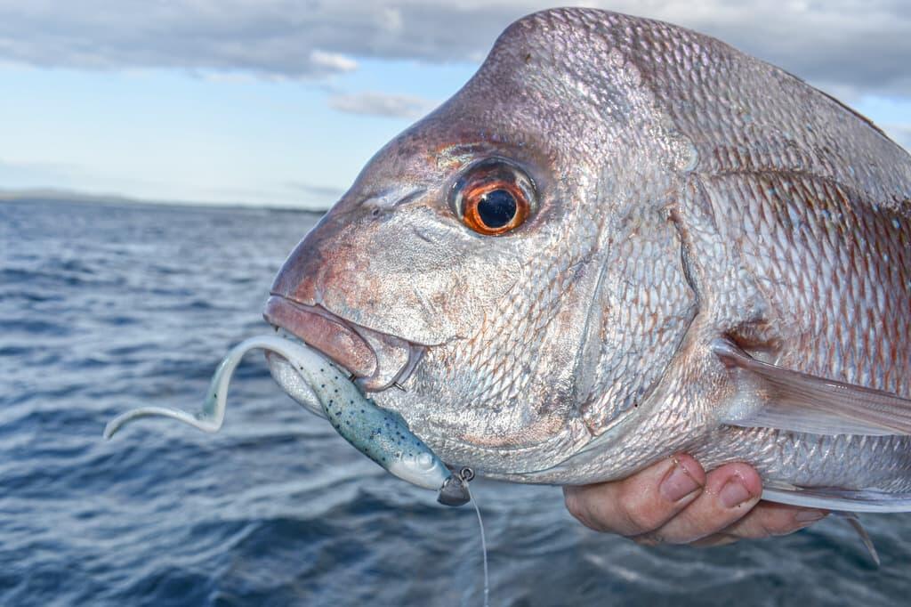 ｜リアル小魚ボディ+ダイナミックアクション！これにガルプ素材が加われば無敵⁉