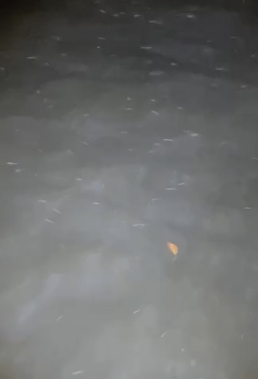 ｜【ハクパターン】難攻不落っていうけど大げさすぎるんじゃない？まだ苦手意識持ってる人いるならシンプルに考えてみよう