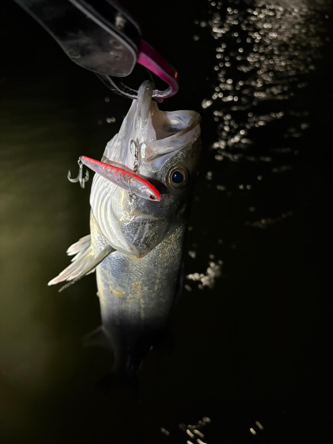 ｜【ハクパターン】難攻不落っていうけど大げさすぎるんじゃない？まだ苦手意識持ってる人いるならシンプルに考えてみよう