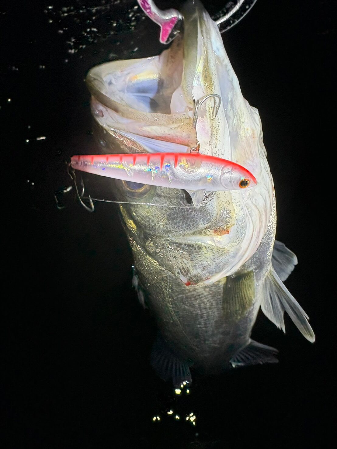 ｜【ハクパターン】難攻不落っていうけど大げさすぎるんじゃない？まだ苦手意識持ってる人いるならシンプルに考えてみよう