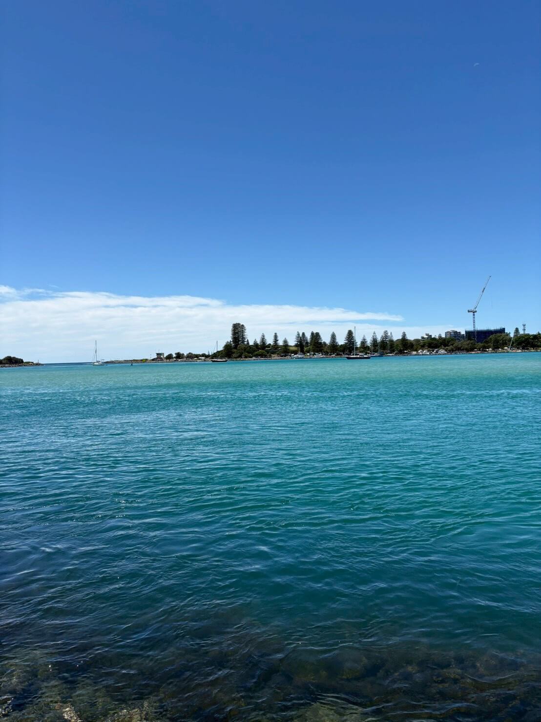 ｜オーストラリアは魚も規格外!? 日本では考えられない“1メーター超えマゴチ”を狙ってみた結果。